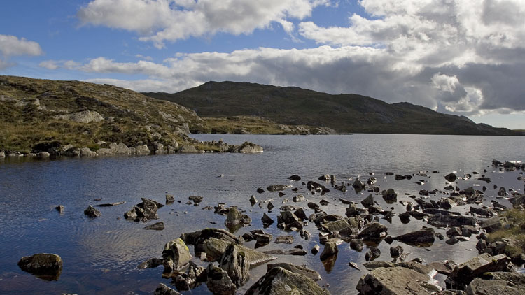 Llyn Edno Llyn Edno