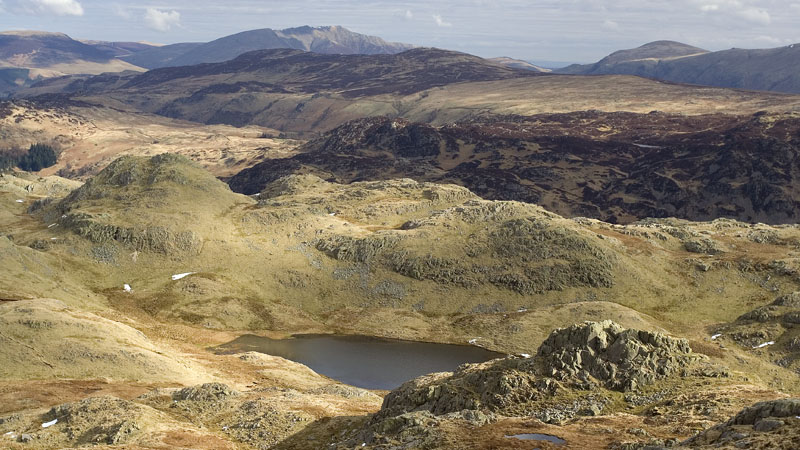 Tarn at Leaves from Rosthwaite Fell Tarn at Leaves from Rosthwaite Fell