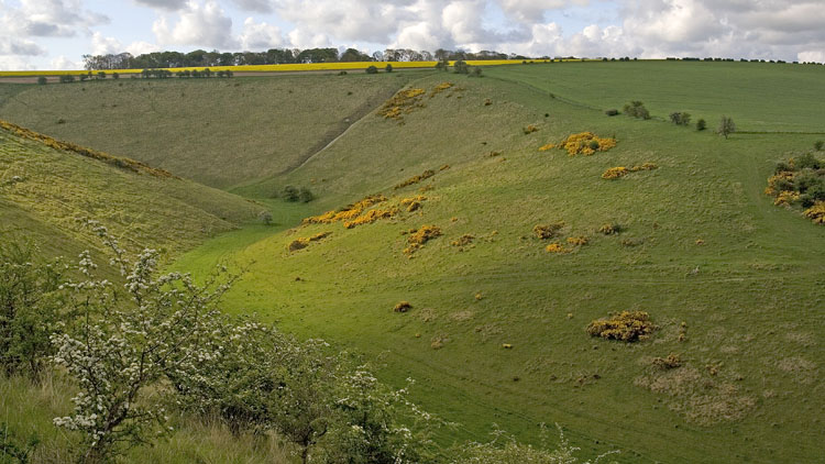 Dale scenery near Millington Dale scenery near Millington