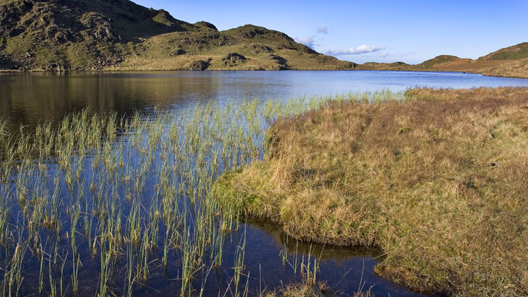 Stony Tarn Stony Tarn