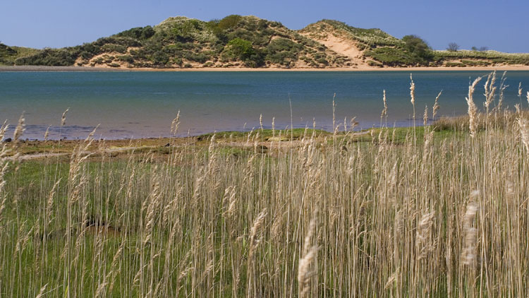Eskmeals Dunes Eskmeals Dunes