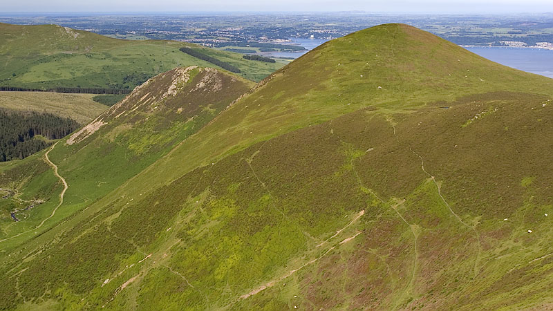 Foel Dduarth & Foel-ganol
