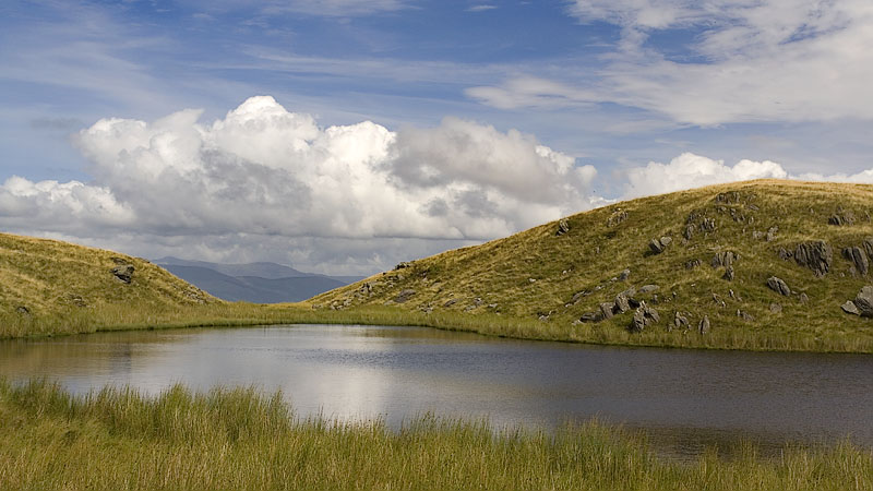 Llyn Moel-y-llyn Llyn Moel-y-llyn