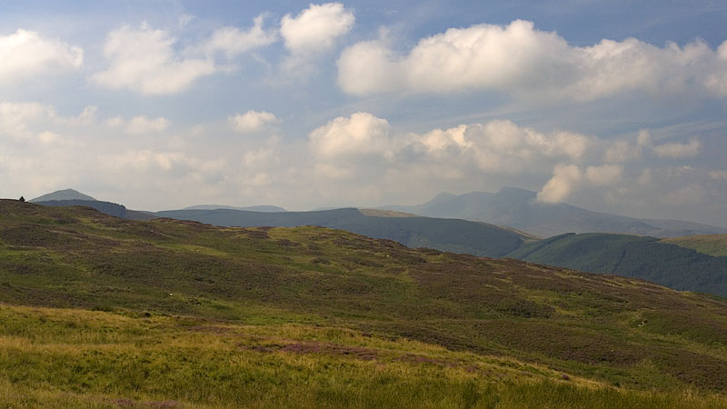 Hazy view to the Arans approaching the forest