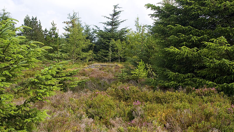 Summit area of Rhiwaedog-uwch-avon