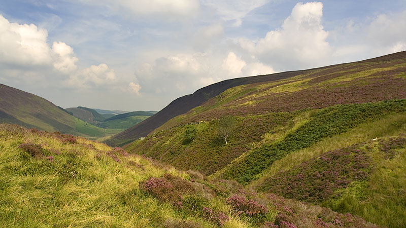 Approaching Cwm Hirnant