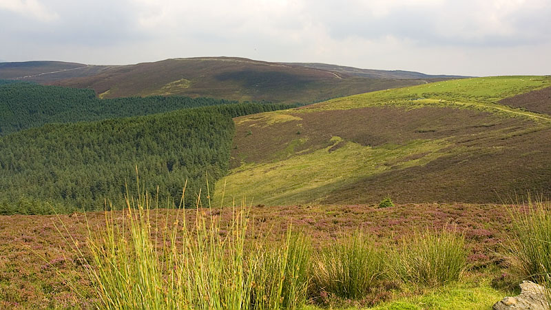 View towards Stac Rhos & Foel Cedig from the track