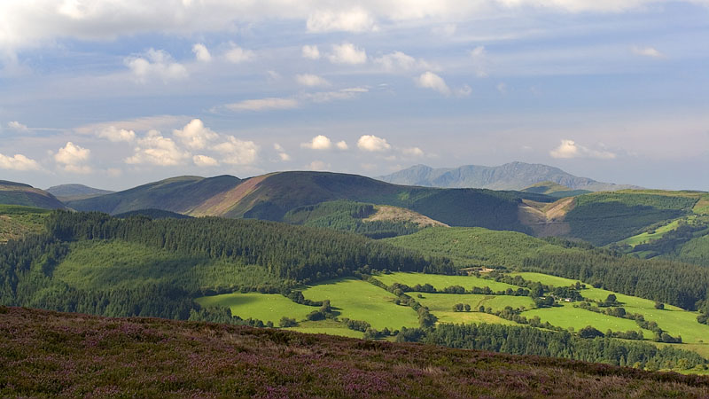 The Arans from Moel Cae-howel