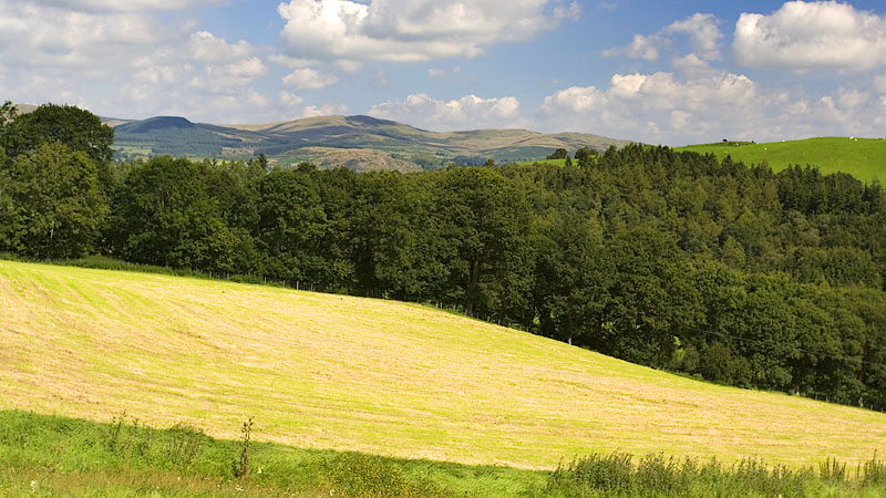 View over Cwm Hirnant from Bwlch y Fenni road