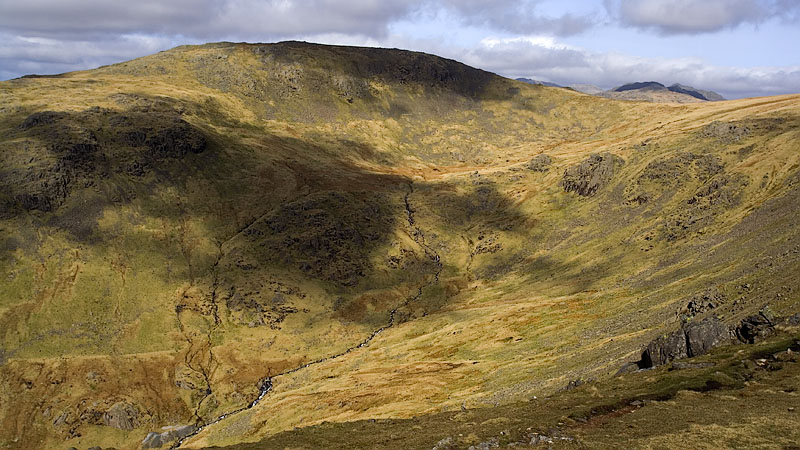 View over Tarn Head Beck to Grey Friar View over Tarn Head Beck to Grey Friar