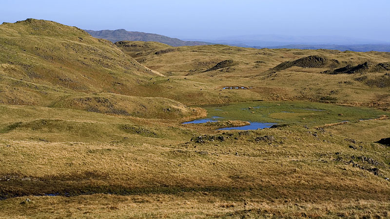 Approaching the reedy Youdell Tarn Approaching the reedy Youdell Tarn