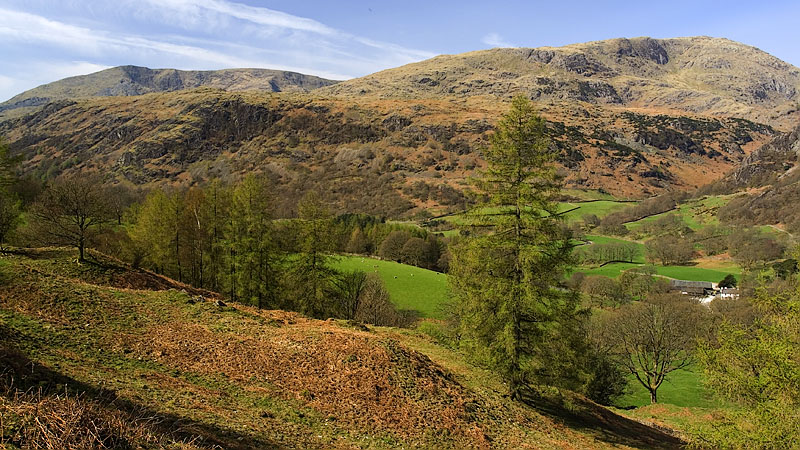 Coniston Fells from the Tarn Hows road Coniston Fells from the Tarn Hows road