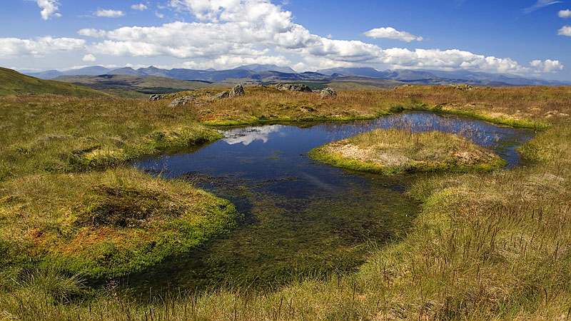 Wild Wales wetland on the south ridge Wild Wales wetland on the south ridge