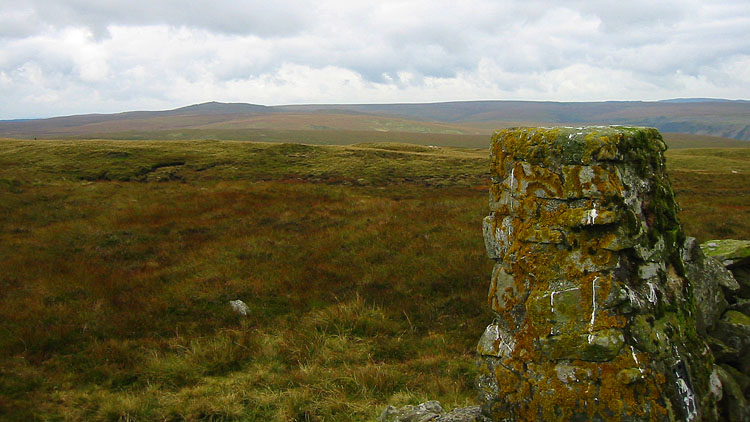 Drygarn Fawr from Gorllwyn Drygarn Fawr from Gorllwyn