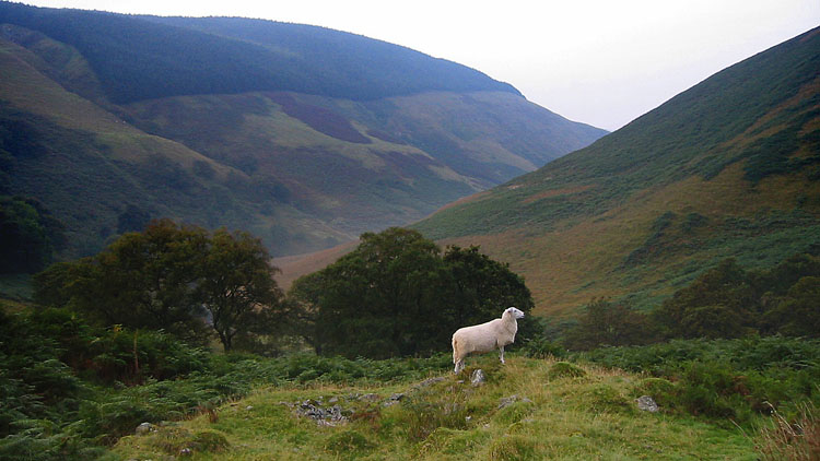 Pen y Gurnos Pen y Gurnos