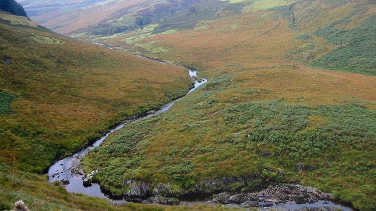 The Camddwr from the road The Camddwr from the road