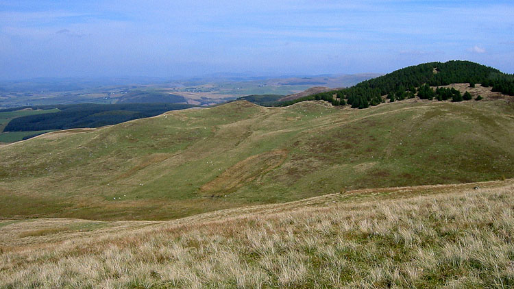 Carn Fflur Carn Fflur