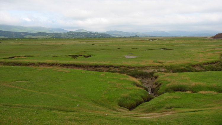 Salt marsh near Hallthwaites Salt marsh near Hallthwaites