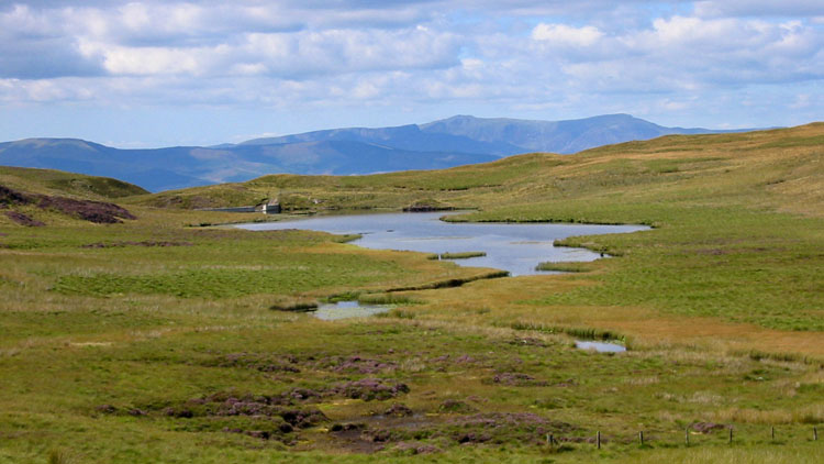 Bugeilyn & Cader Idris Bugeilyn & Cader Idris