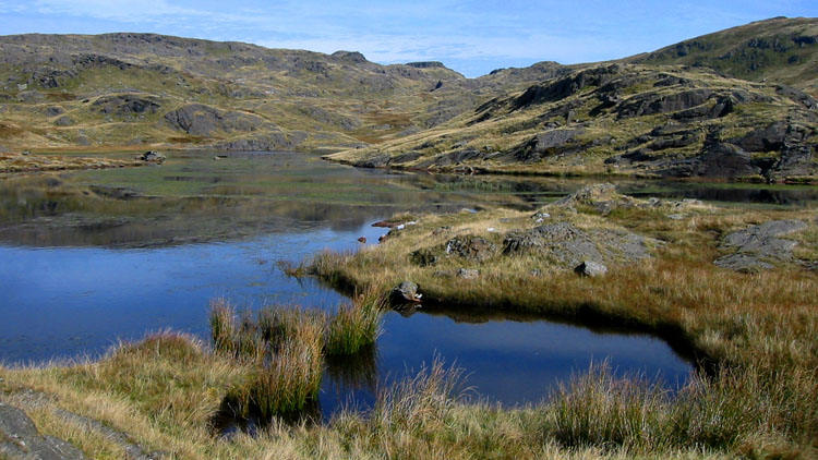 Llyn Cwm-corsiog Llyn Cwm-corsiog
