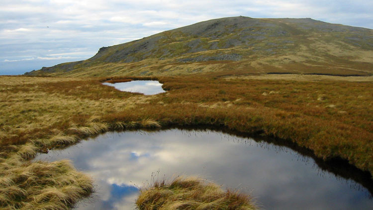 Pools and Llwytmor