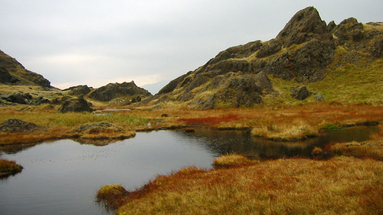 Tarns at the Moel Hebog / Moel yr Ogof bwlch Tarns at the Moel Hebog / Moel yr Ogof bwlch