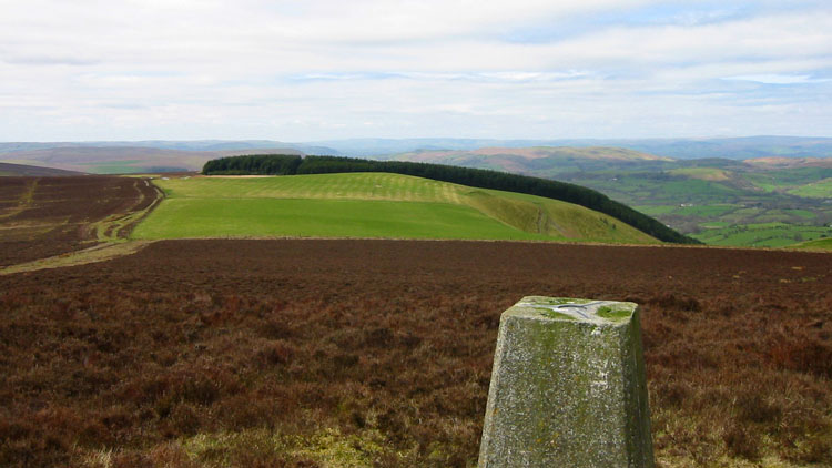 View from Gwaunceste Hill View from Gwaunceste Hill