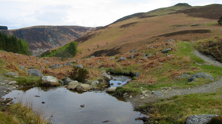 Fording the Nant y Gro with Cnwch beyond Fording the Nant y Gro with Cnwch beyond