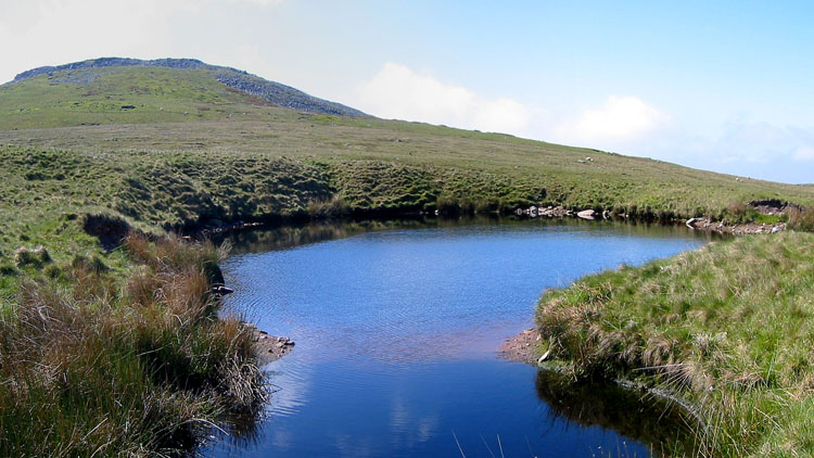 Pwll y Cig upper pool & Disgwylfa Pwll y Cig upper pool & Disgwylfa