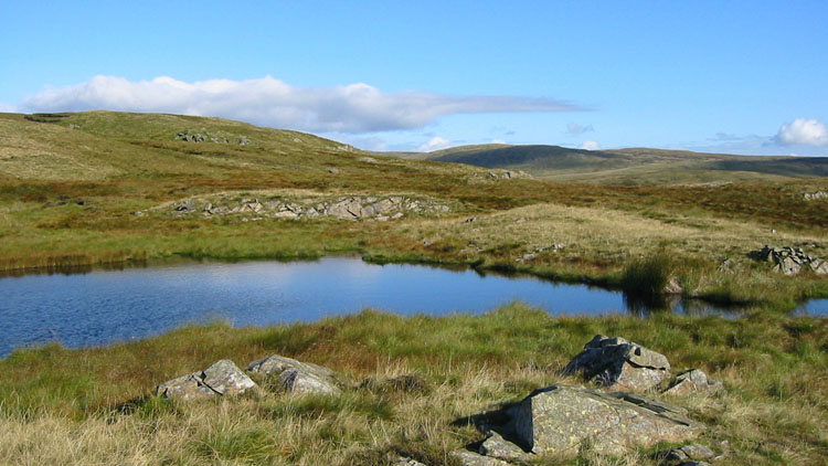 Tarn on Capplebarrow ridge Tarn on Capplebarrow ridge