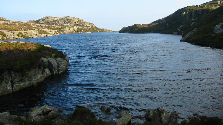 Llyn Pryfed Llyn Pryfed
