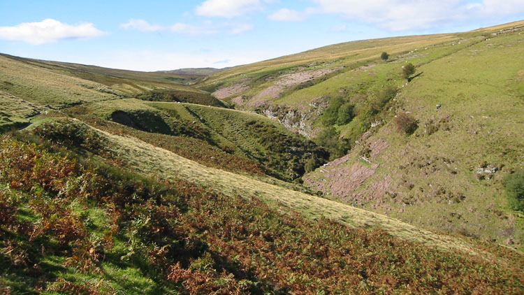 Nant Rhydwilym valley Nant Rhydwilym valley