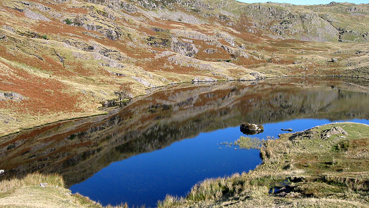 Codale Tarn Codale Tarn
