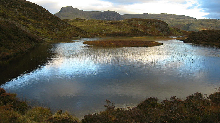 Lingmoor Tarn Lingmoor Tarn