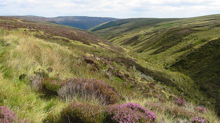 The Nant Nadroedd Fawr The Nant Nadroedd Fawr