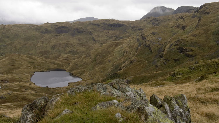 Codale Tarn