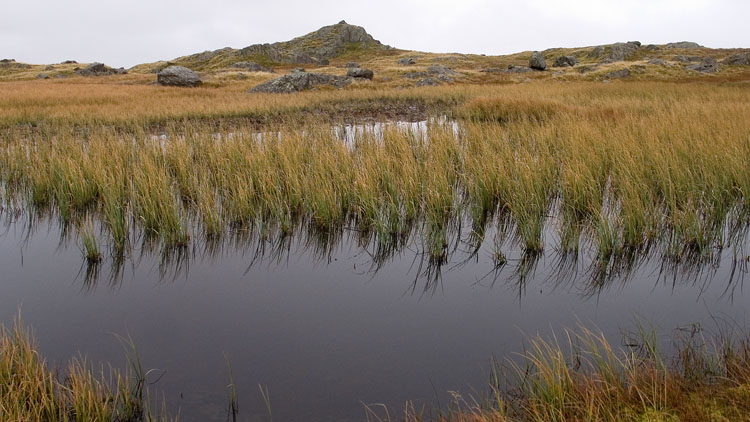 Tarn on the Ullscarf ridge
