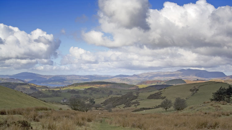 The Arenigs from Mynydd Mynyllod The Arenigs from Mynydd Mynyllod