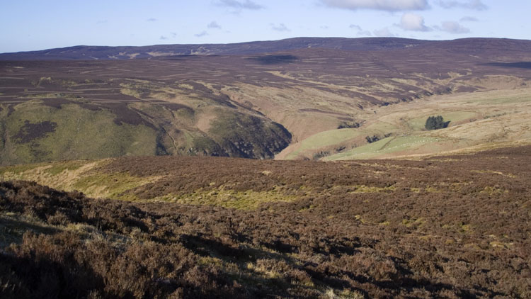 Head of Cwm Rhiwarth Head of Cwm Rhiwarth