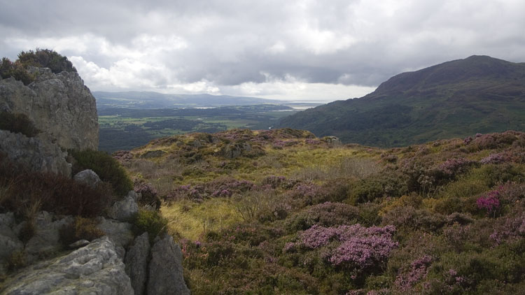 Moel Ddu from Mynydd Sygun Moel Ddu from Mynydd Sygun