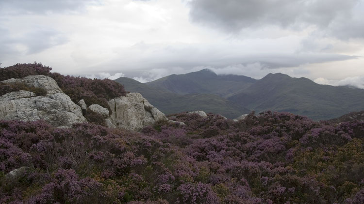 Snowdon massif from Yr Arddu Snowdon massif from Yr Arddu
