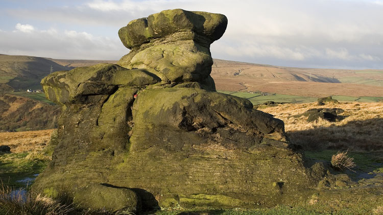 The Basin Stone on Walsden Moor The Basin Stone on Walsden Moor