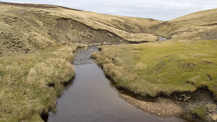 Apedale Beck & Cat Scar Apedale Beck & Cat Scar