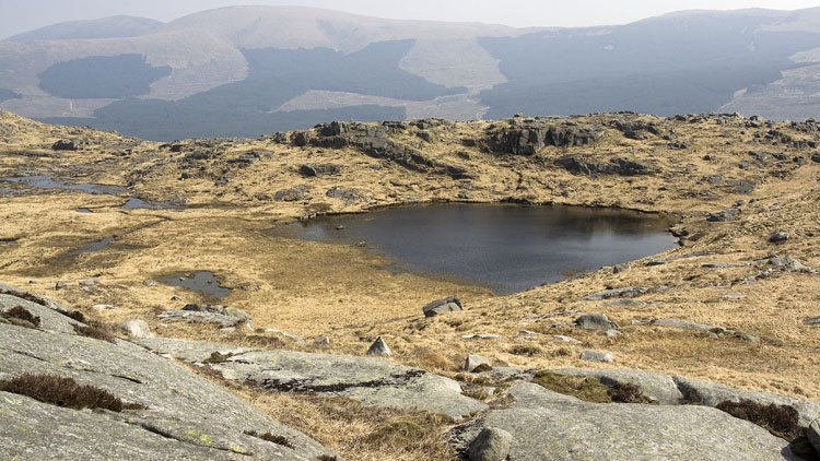 Dow Loch (Craignaw)