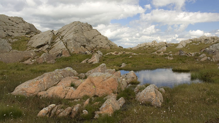 Pool & rocks on Craig Eigiau Pool & rocks on Craig Eigiau