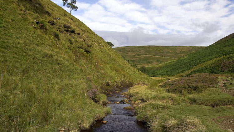 Cranberry Clough Cranberry Clough