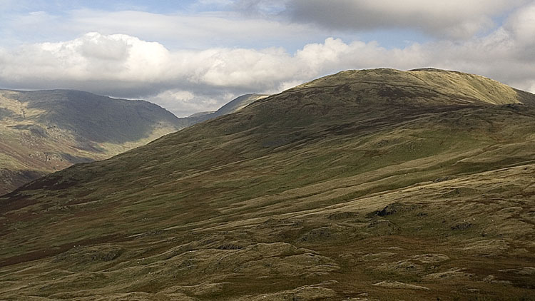 View to Yoke View to Yoke