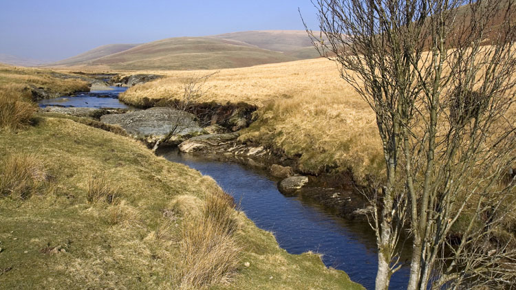 The Afon Elan The Afon Elan