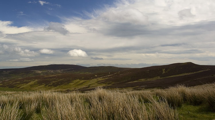 Moel Fferna & Pen y Lladron Moel Fferna & Pen y Lladron