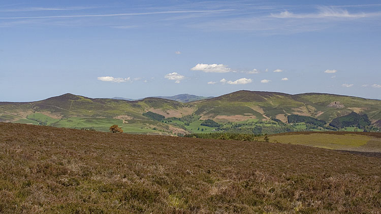 Llantysilio hills from Vivod Mountain Llantysilio hills from Vivod Mountain